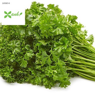 Hạt giống Ngò Tây (Rau Mùi Xoăn) (1g)