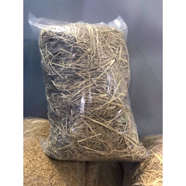 Rơm rạ trồng cây-lót ổ gà- trang trí noel