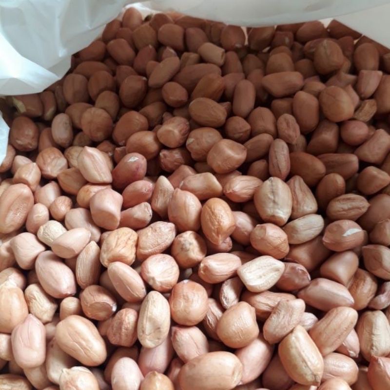 1kg đậu phộng ( hạt lạc) sống