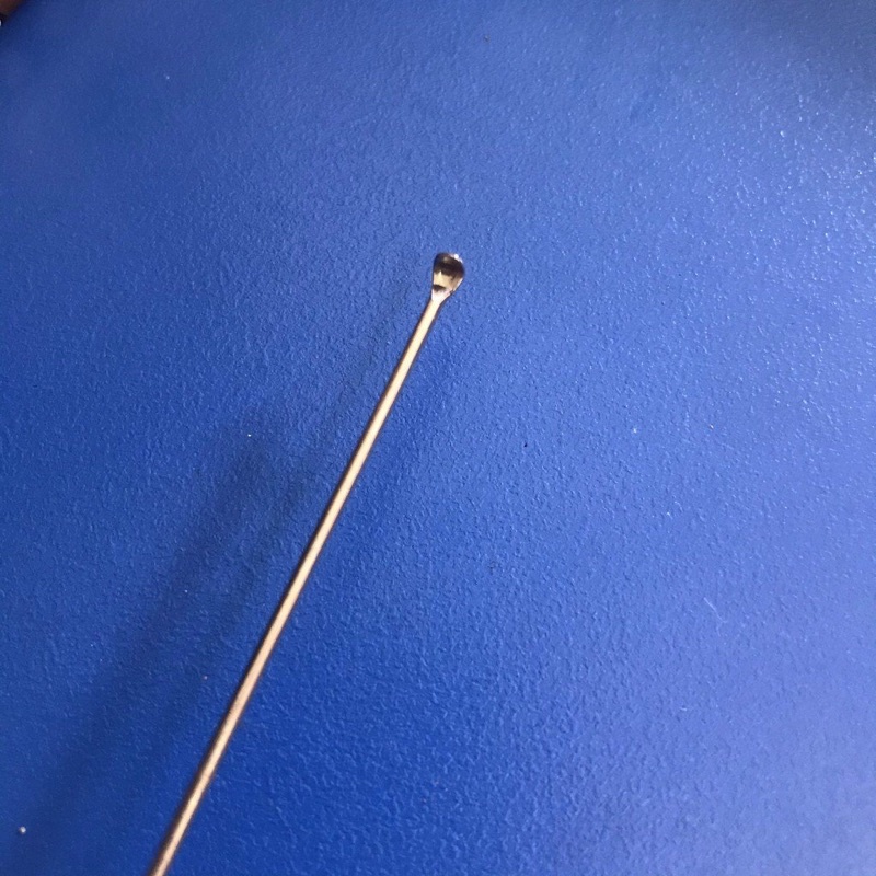 Cây lấy ráy tai , cay soi ngoái tai