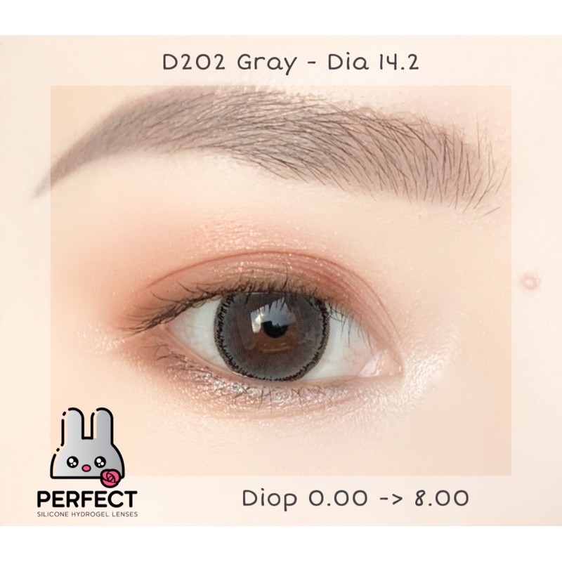 Link 2 (Giá 1 Chiếc) 14.2 (0.00->8.00) Lens D202 Gray - Kính Áp Tròng