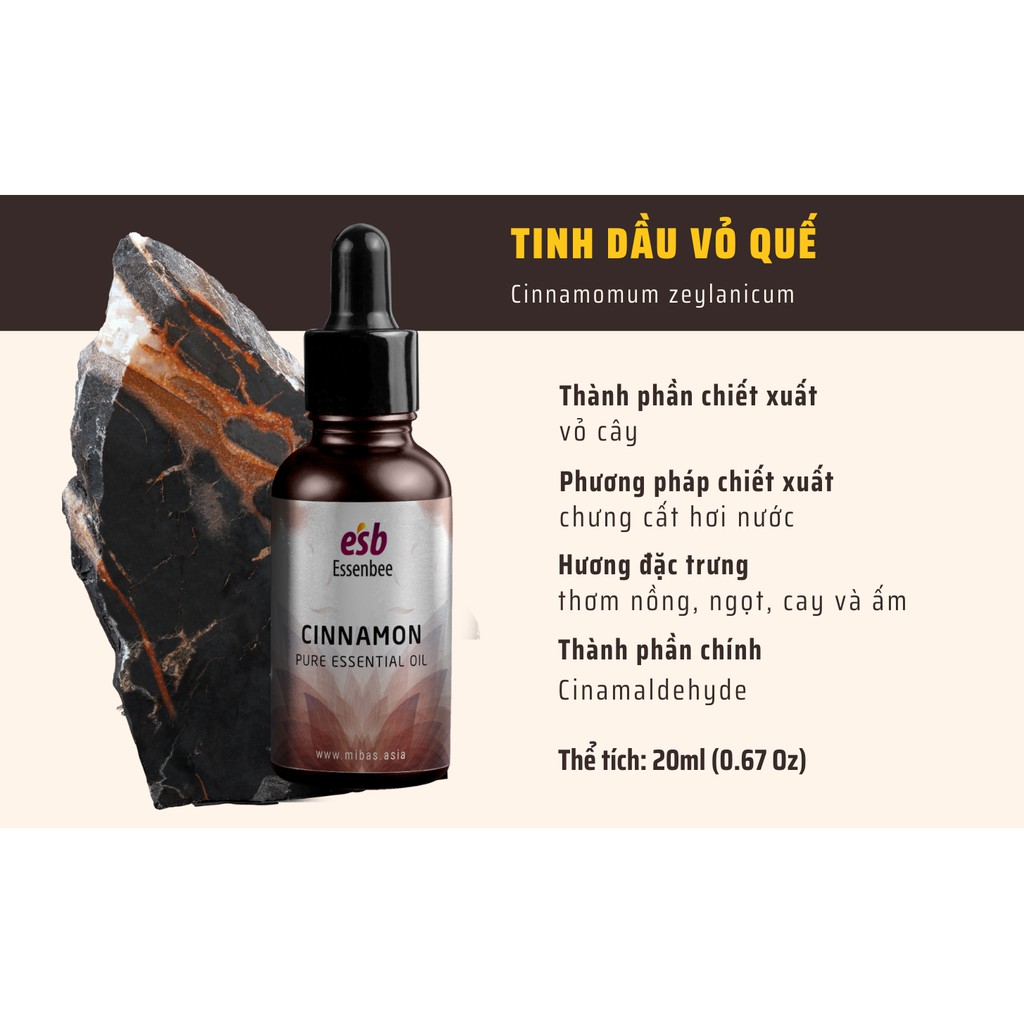 Tinh dầu Vỏ Quế – Essenbee – 20ml