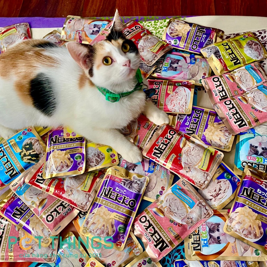 Hộp 12 gói Pate Nekko cho mèo 70g Thái Lan