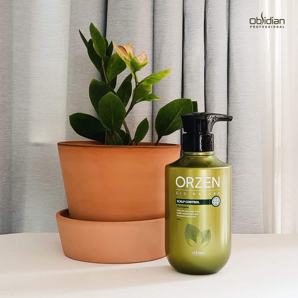 DẦU GỘI TĂNG CƯỜNG SINH TRƯỞNG TÓC - DA DẦU/DA GÀU