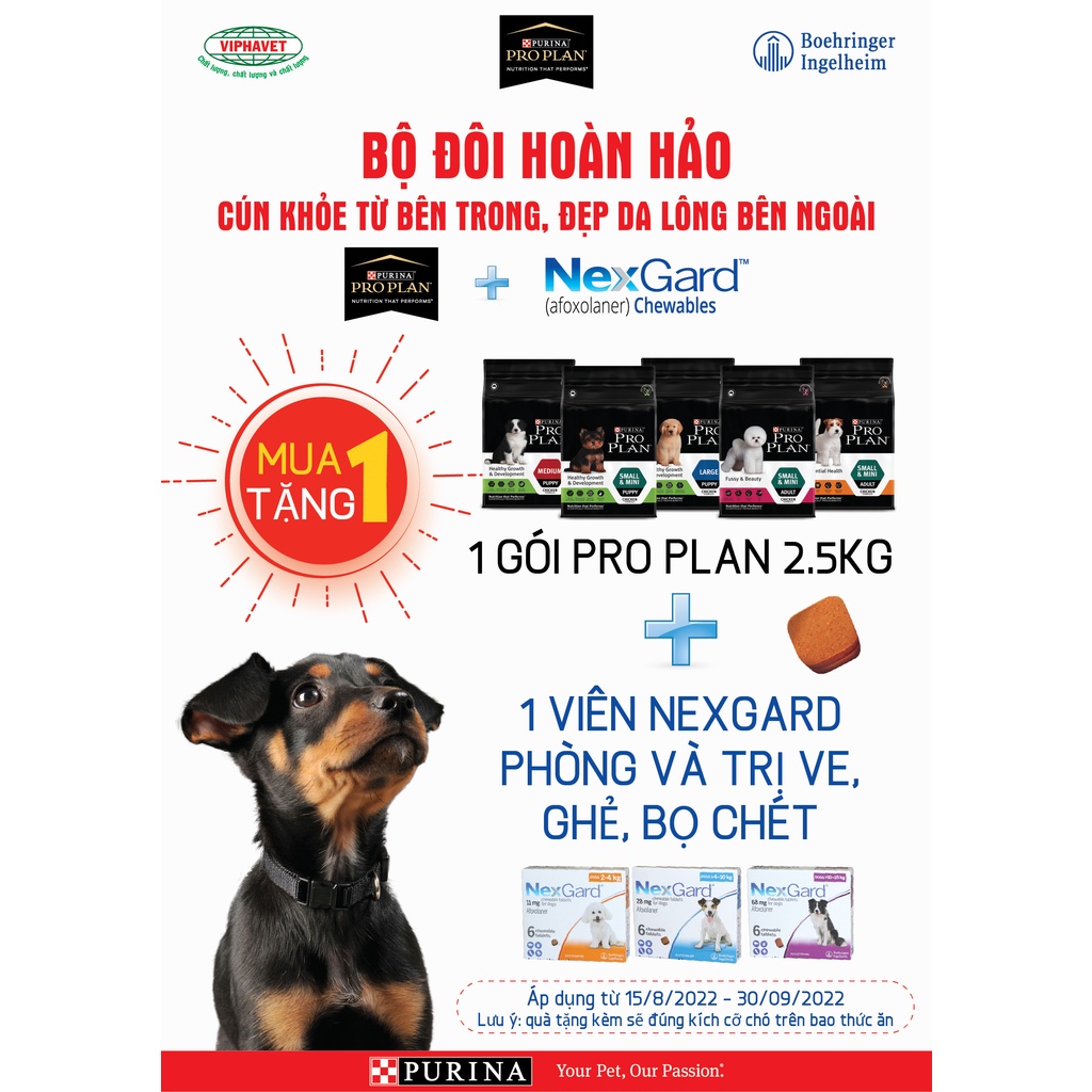 Hạt Cho Chó Con PURINA Pro Plan Cho Giống Alaska, Husky, Golden, Samoyed, Becgie ,.....Vị Gà (Nhập Khẩu Úc)
