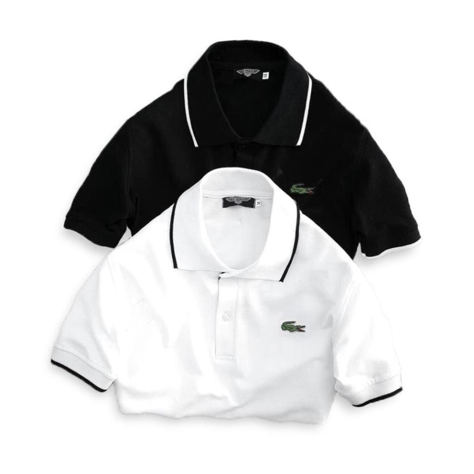 [Kaki.vn] Áo phông nam có cổ polo cộc tay cao cấp Hamino vải thun cotton co giãn màu trắng đen E1 | BigBuy360 - bigbuy360.vn