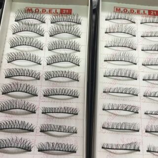 Lông mi giả hộp 10 đôi MODEL