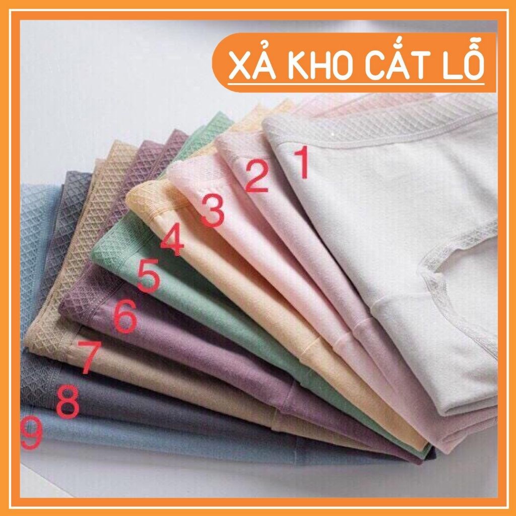 ❤ Hàng Loại 1 - Ảnh Chụp Thật ❤ Quần Lót Nữ Cotton Viền Ren, Quần Lót Kháng Khuẩn Trơn Nhiều Màu Dễ Thương