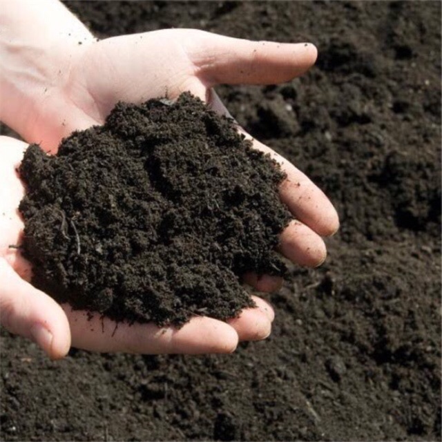 1kg đất dinh dưỡng trồng cây, hoa kiểng- đất hữu cơ