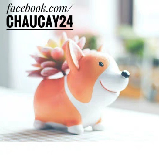 Chậu chú chó corgi - Trồng Cây Cảnh Trang Trí Để Bàn, sen đá, xương rồng