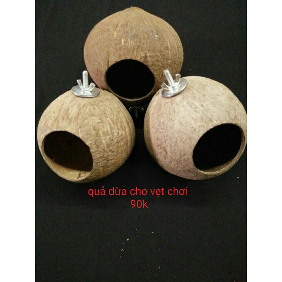 Quả dừa đồ chơi cho Vẹt