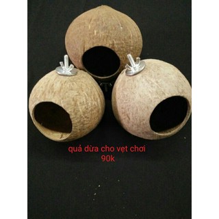 Quả dừa đồ chơi cho Vẹt