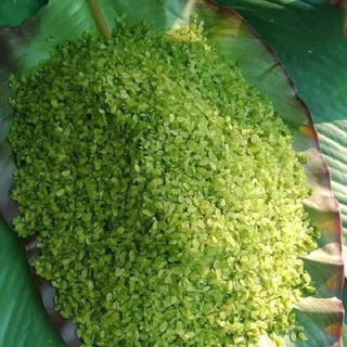 500gr CỐM DẸP XANH ĐẶC SẢN LÀNG VÒNG