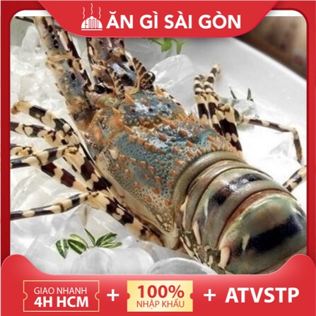 Tôm hùm bông Việt Nam loại đặc biệt, giao sống tận nơi, size tôm lớn 1-1,2kg/con