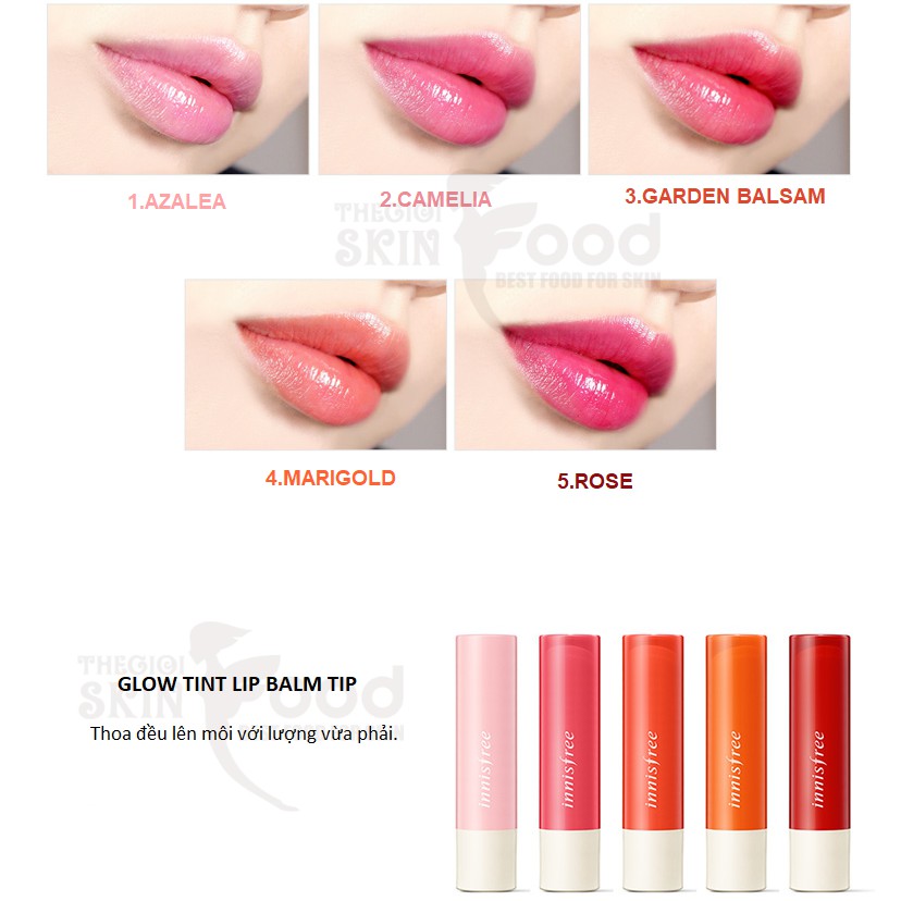 [NEW 2019] Son Dưỡng Môi Có Màu Innisfree Glow Tint Lip Balm