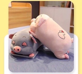 Mền heo và gối