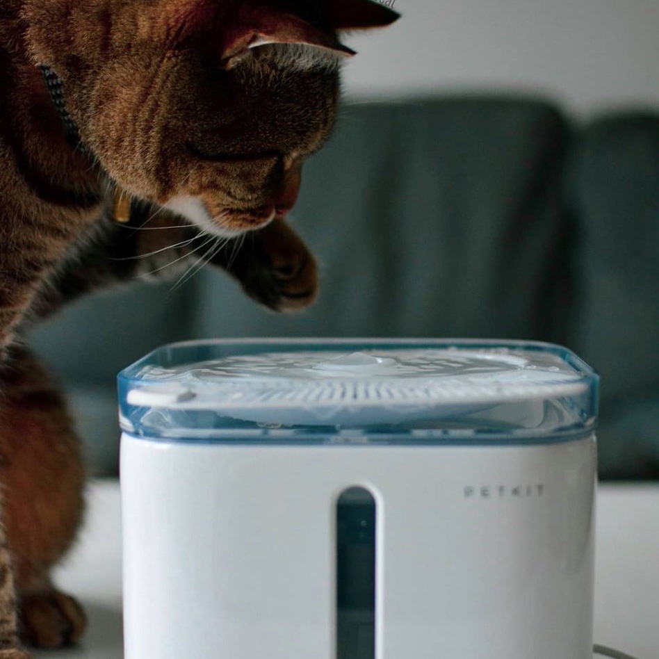 Máy lọc nước Petkit Eversweet 2S