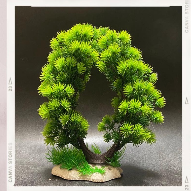 Cây cảnh nhựa trong bể cá - Cây cổng hoa