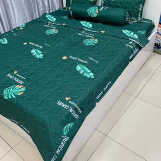 Sét chăn gra gối Gucci