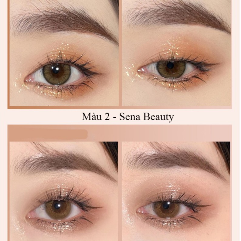 Bảng phấn mắt Glam Colour 12 ô vỏ trong suốt Sena Beauty | BigBuy360 - bigbuy360.vn