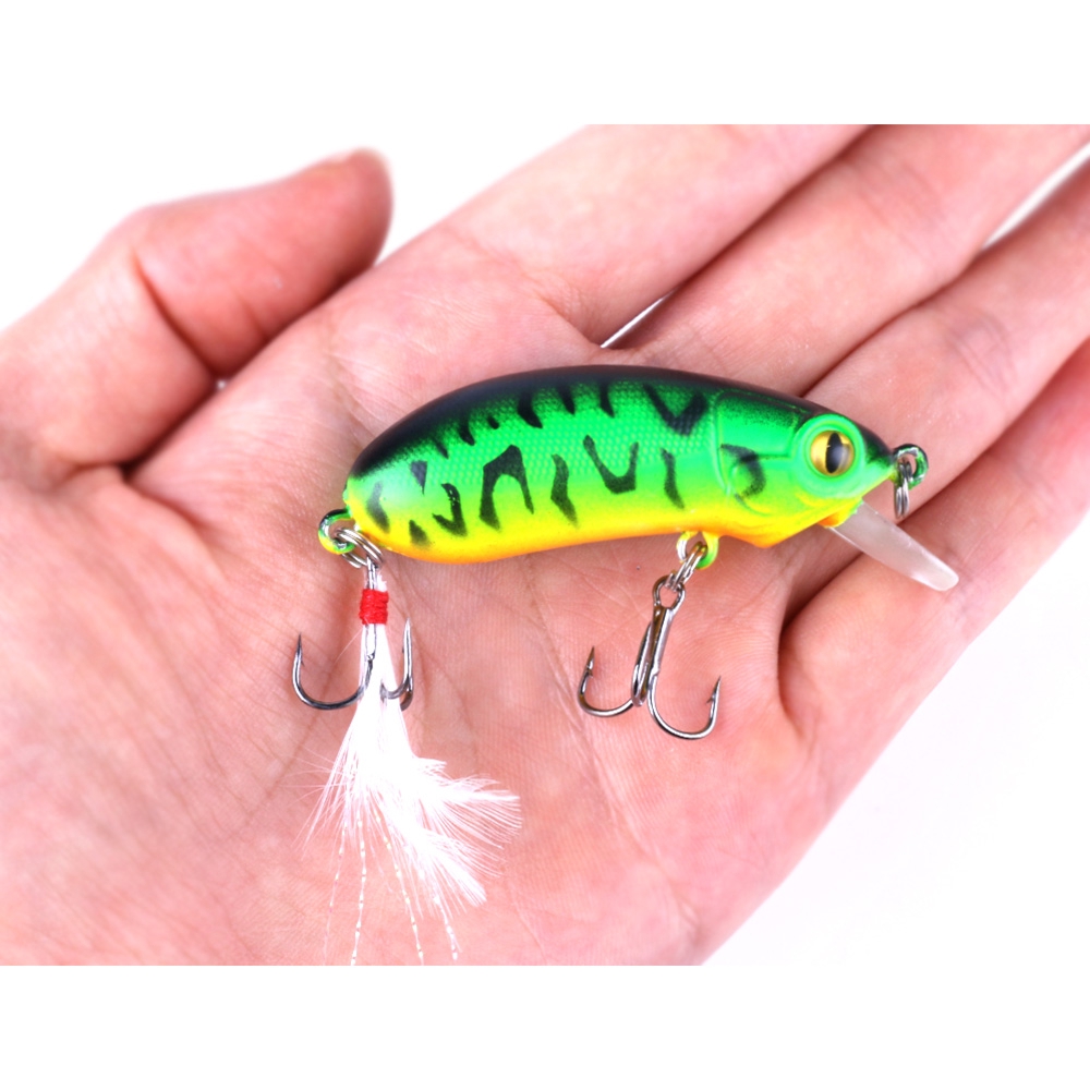 1 Mồi Câu Cá Giả Bằng Nhựa Cứng Mắt 3D 6cm / 10g Có Móc