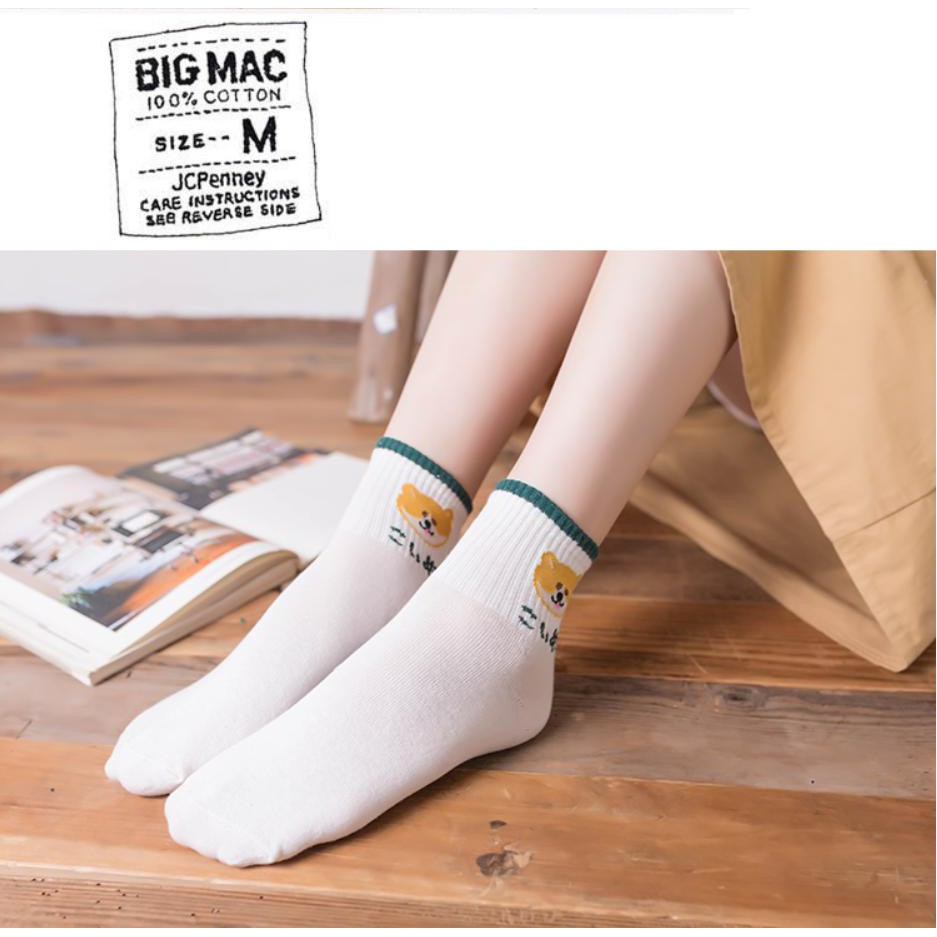 Tất Vớ Nữ Cao Cổ Cotton Hình Chó Shiba Hot Trend Kiểu Hàn Quốc Ulzzang Hot Trend