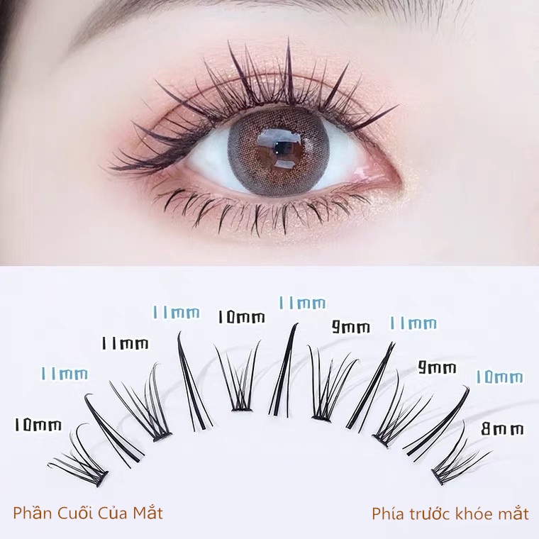 Lông mi giả SEVICH dùng để nối mi dạng đuôi cá loại A có 120 cụm lông mi giả