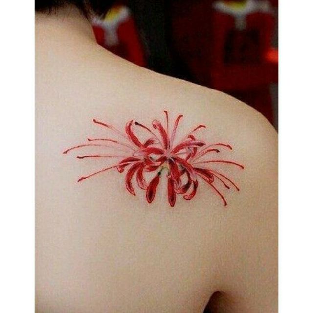 Hình xăm dán tattoo xăm nước hoa Bỉ ngạn