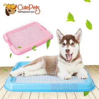 Khay vệ sinh cho chó không Size Nhỏ 46x34x5cm có tường- Cutepets