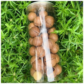 Hạt mắc ca dinh dưỡng 500g