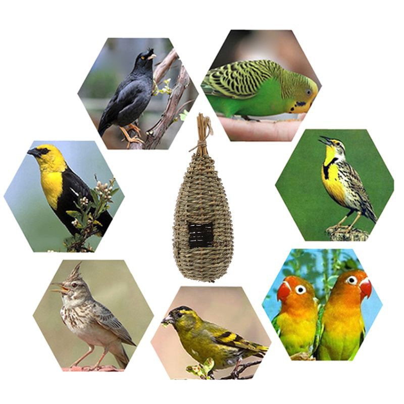 Tổ chim treo gắn cành cây dùng trang trí