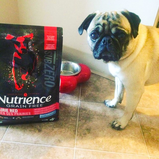 [Ăn Là Thích] Thức Ăn Hạt Cho Chó Nutrience Subzero Bao 2,27kg Da Lông Bóng Mượt - 6 Loại Thịt Cá, Rau Củ Quả, Trái Cây