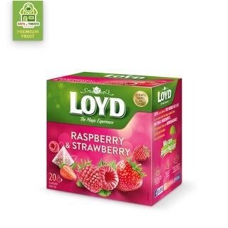Trà túi lọc trái cây loyd 40g