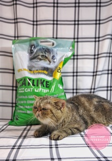 CÁT VỆ SINH CHO MÈO CATLIKE 8L