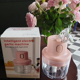 Máy xay tỏi ớt đa năng sạc điện, Máy xay mini cầm tay dung tích 250ml ( mẫu mới)