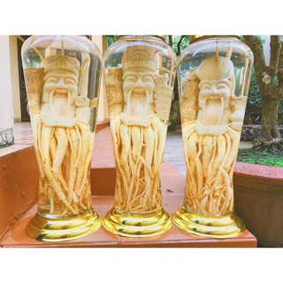 BÌNH NGÂM RƯỢU SÂM 5 Lít ❤️ Tặng gáo dừa múc rượu