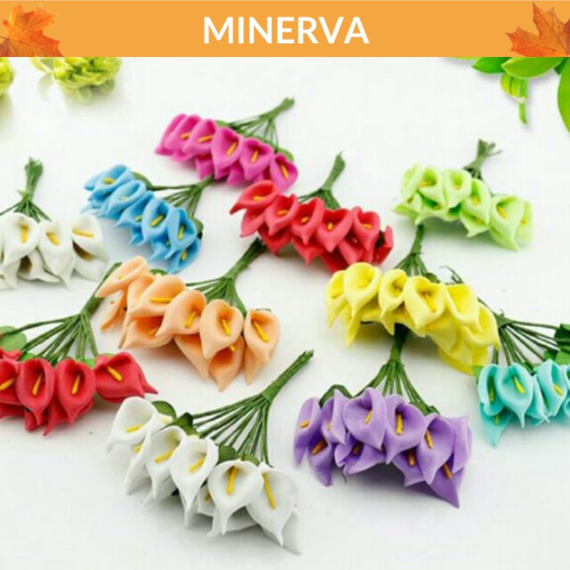 Set 10 hoa thuỷ vu hoa loa kèn lily trang trí , làm đồ thủ công , thiệp handmade, hộp quà tặng