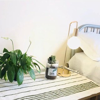 Đèn decor để bàn - Mici Decor