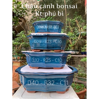 Chậu tàu - chậu gốm tàu- Chậu trồng cây bonsai - chậu trồng sen đá - chậu cảnh bonsai