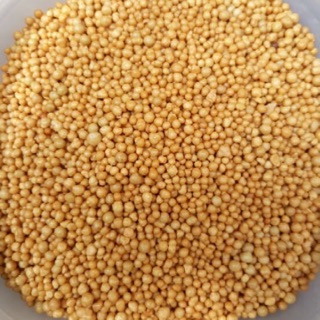 PHÂN VÀNG TAN CHẬM (100G)
