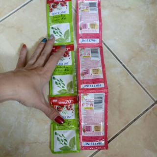 50 gói sữa tắm Hazeline matcha lựu đỏ