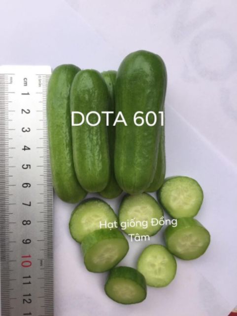 Gói 10 hạt dưa leo dưa chuột chùm tự thụ phấn, dưa leo baby Dota 601 giống Đồng Tâm giòn ngọt