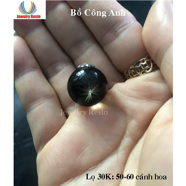Hoa Bồ Công Anh