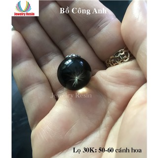 Hoa Bồ Công Anh