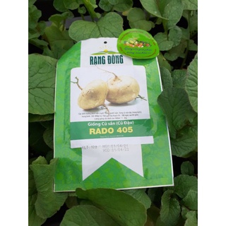 Gói 10g Hạt Giống Củ Sắn ( Củ Đậu) Rado 405, Trồng Quanh Năm, Thu Sau 90-100 Ngày Sau Khi Gieo