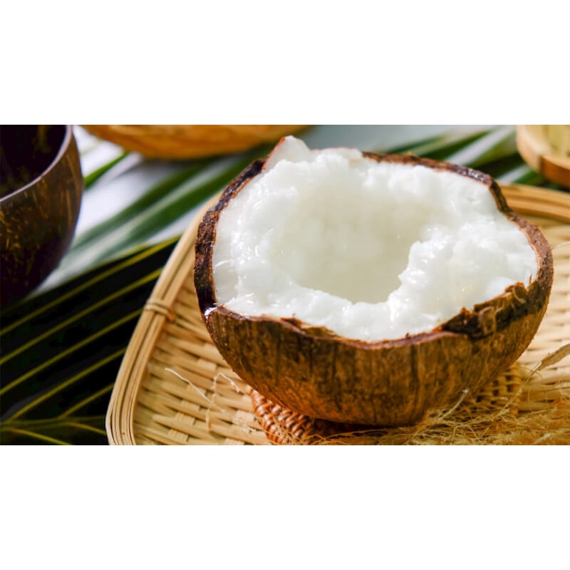 Dừa Sáp Trà Vinh 1kg - 1.2kg  Dầm Sữa Béo Béo Thơm Ngon Hết Hồn, Đóng Gói Sang Trọng