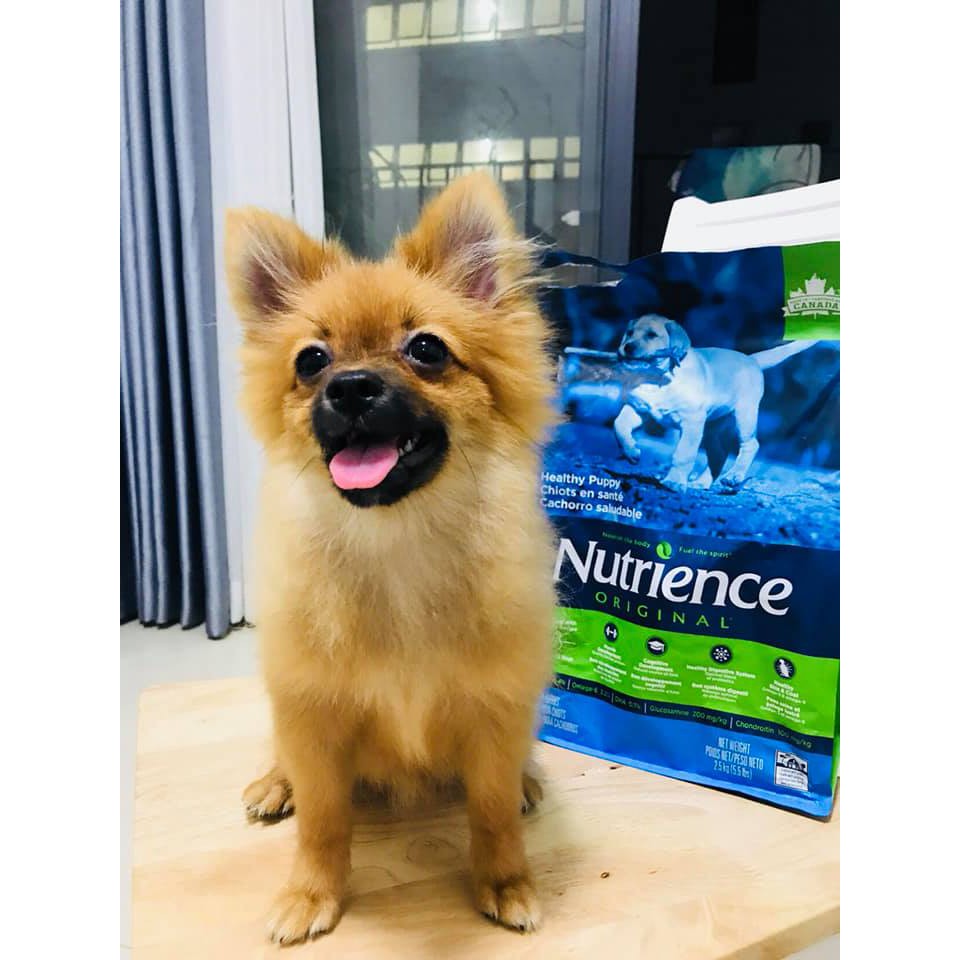 Thức Ăn Cho Chó Husky Con Nutrience Original Bao 2,5kg - Thịt Gà, Rau Củ Và Trái Cây Tự Nhiên