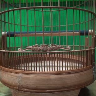 Cầu đứng chim Halosung cầu chim chào mào cầu mài móng phụ kiện lồng chim PK86
