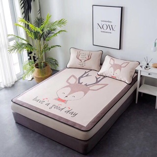 CHIẾU LỤA ĐIỀU HOÀ
