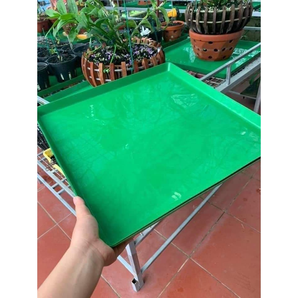 KHAY CHỐNG NÓNG CHO LAN 💥 KHAY ĐỰNG NƯỚC TRỒNG LAN 💥 Cỡ 50x50 cm